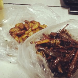 Fried Grasshoppers 