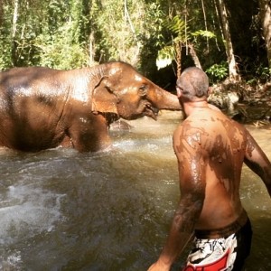 The Elephant Jungle Paradise Park Chiang Mai