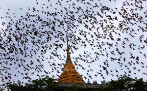 Wat Khao Chong Phra Bat Temple Ratchaburi