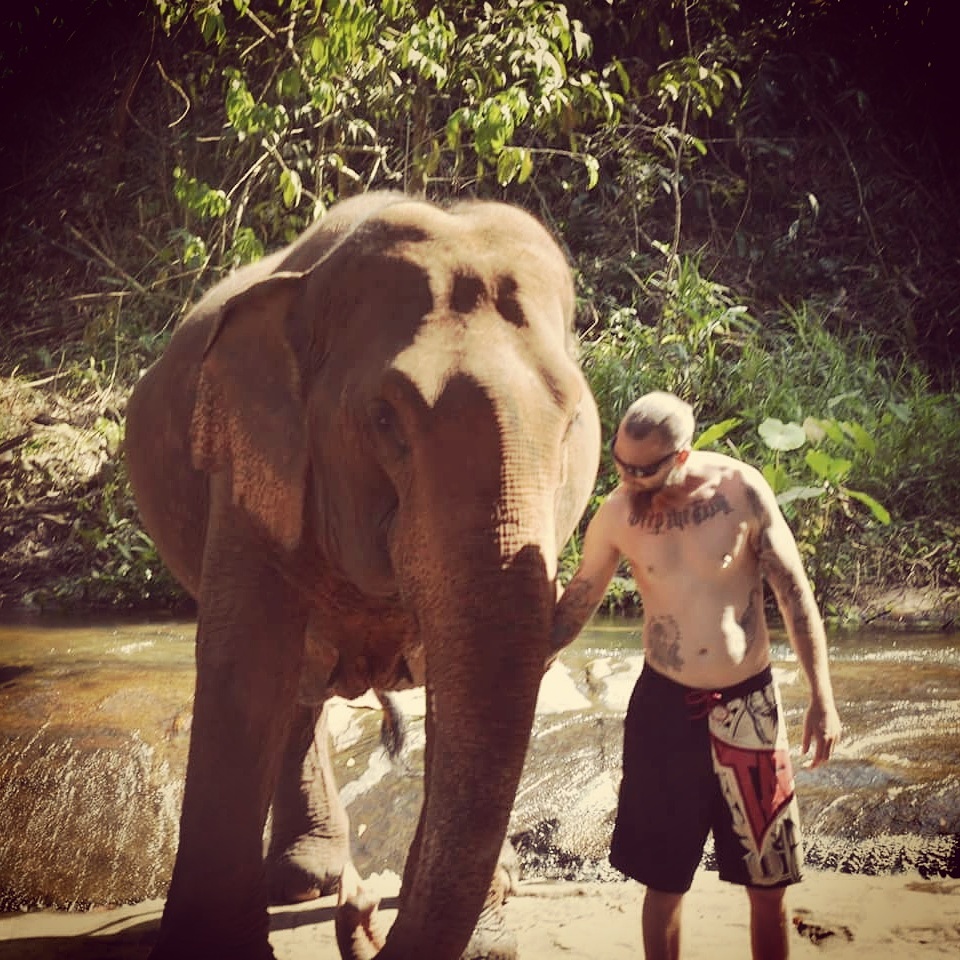 Ethical Elephant Tours Thailand